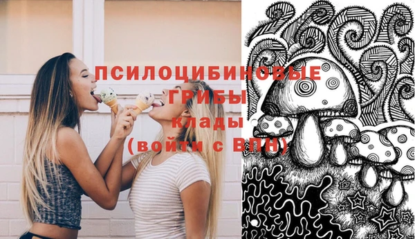 ПСИЛОЦИБИНОВЫЕ ГРИБЫ Абдулино
